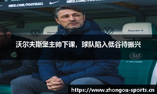 中欧体育官方网站