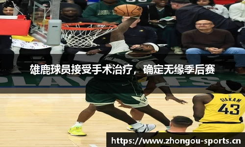 中欧体育官方网站