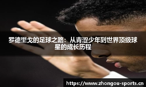 中欧体育官方网站