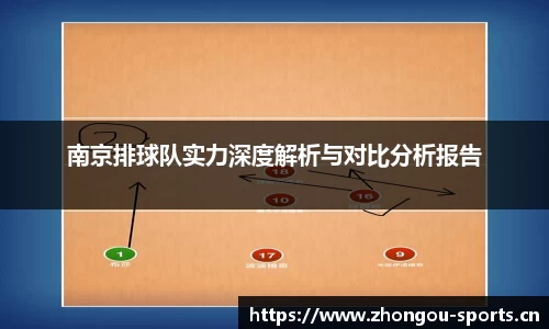 南京排球队实力深度解析与对比分析报告